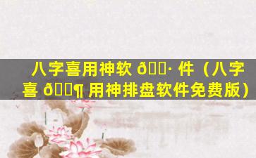 八字喜用神软 🌷 件（八字喜 🐶 用神排盘软件免费版）